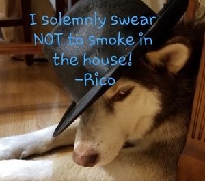 No smoking in the house